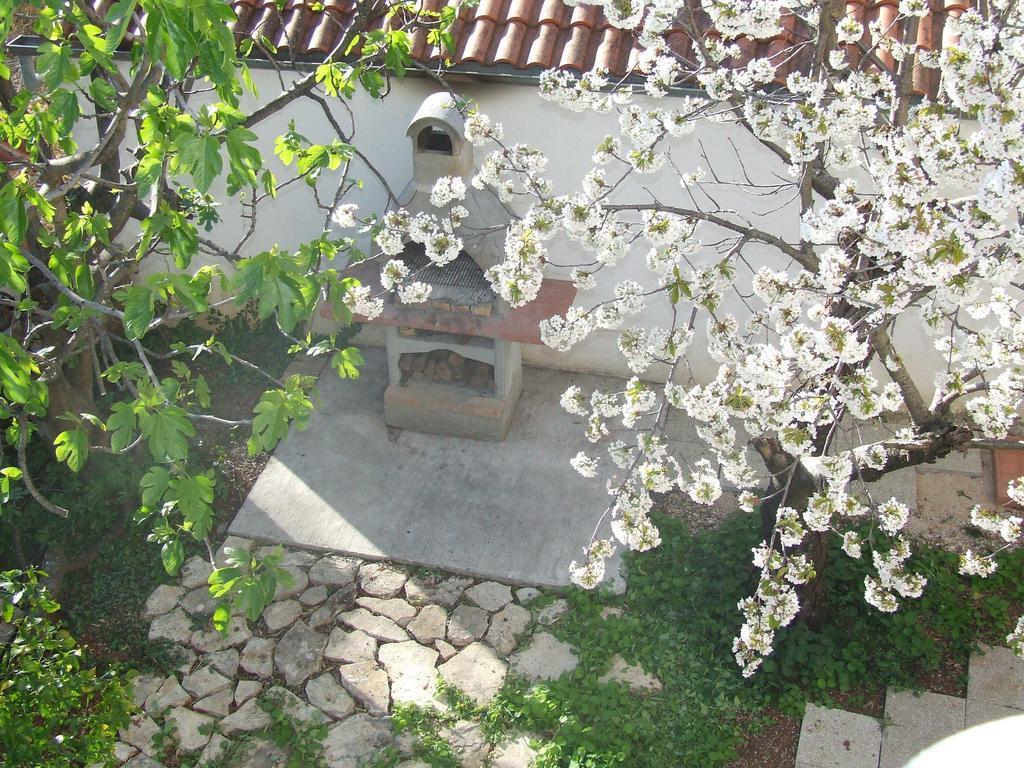 Villa Dalmatia ซาดาร์ ภายนอก รูปภาพ